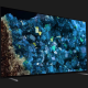 Телевізор Sony 55 XR-55A84L (UA REGION)