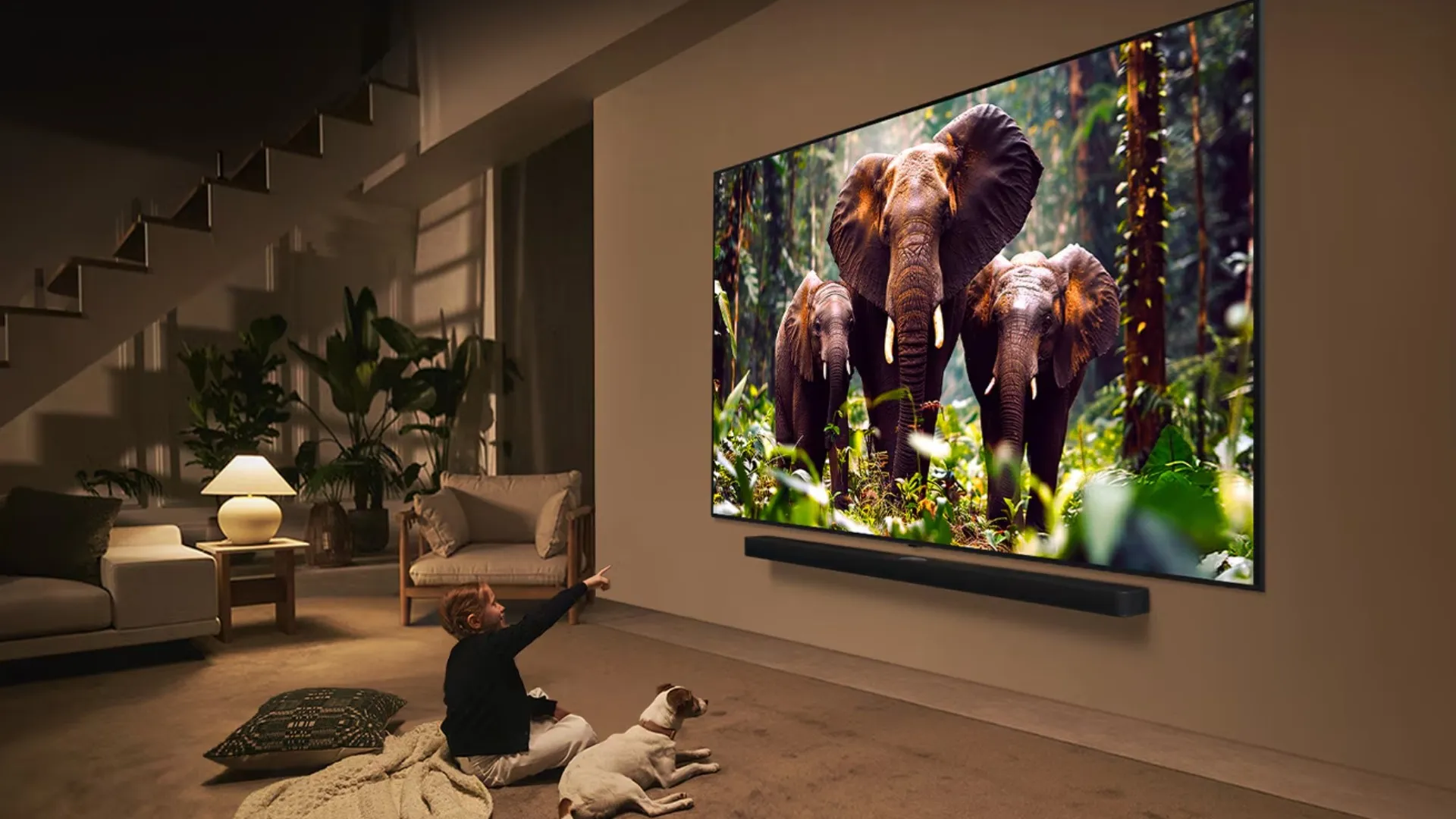Телевізор LG 50 50QNED86A6C (UA)