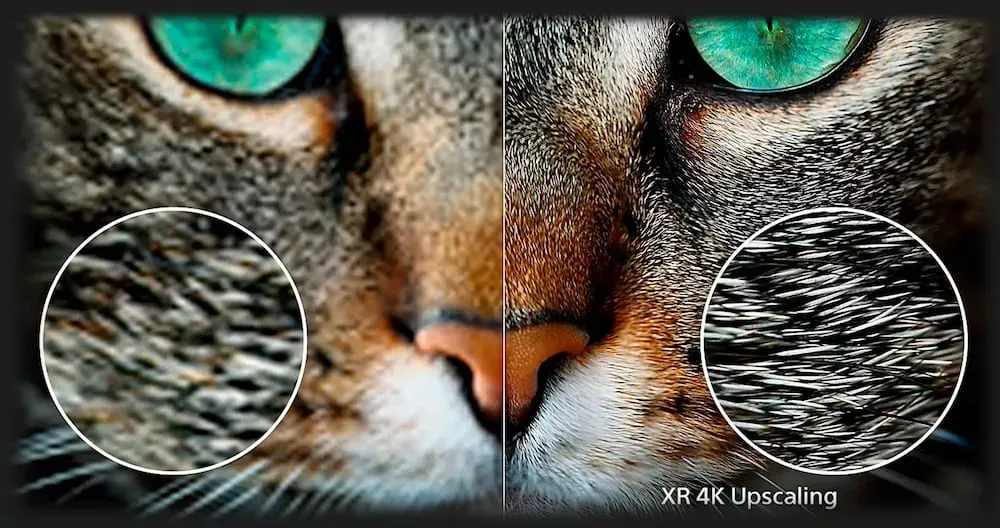 Телевізор Sony 77 XR-77A95L (Standard)