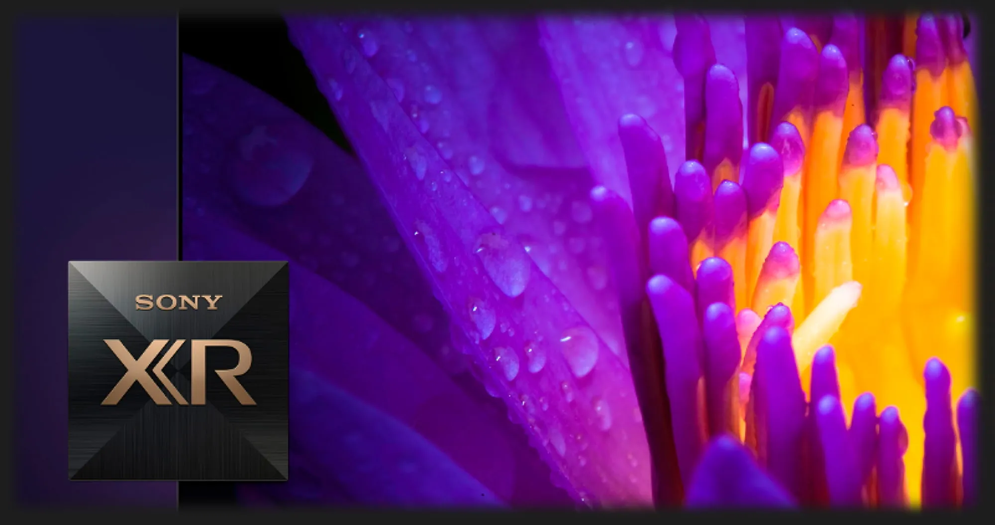Телевізор Sony 65 XR-65A80L (Ultra)