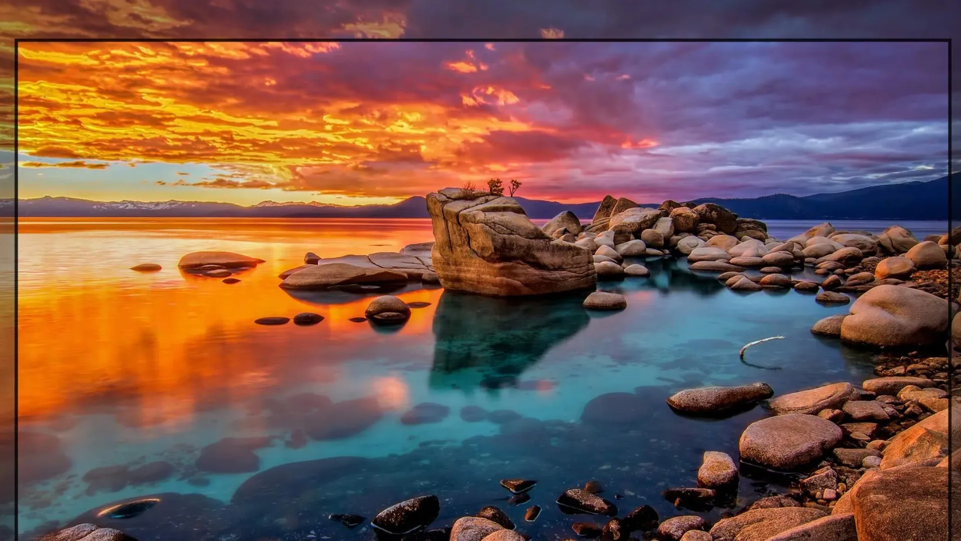 Телевізор TCL 55 55P69B (UA)