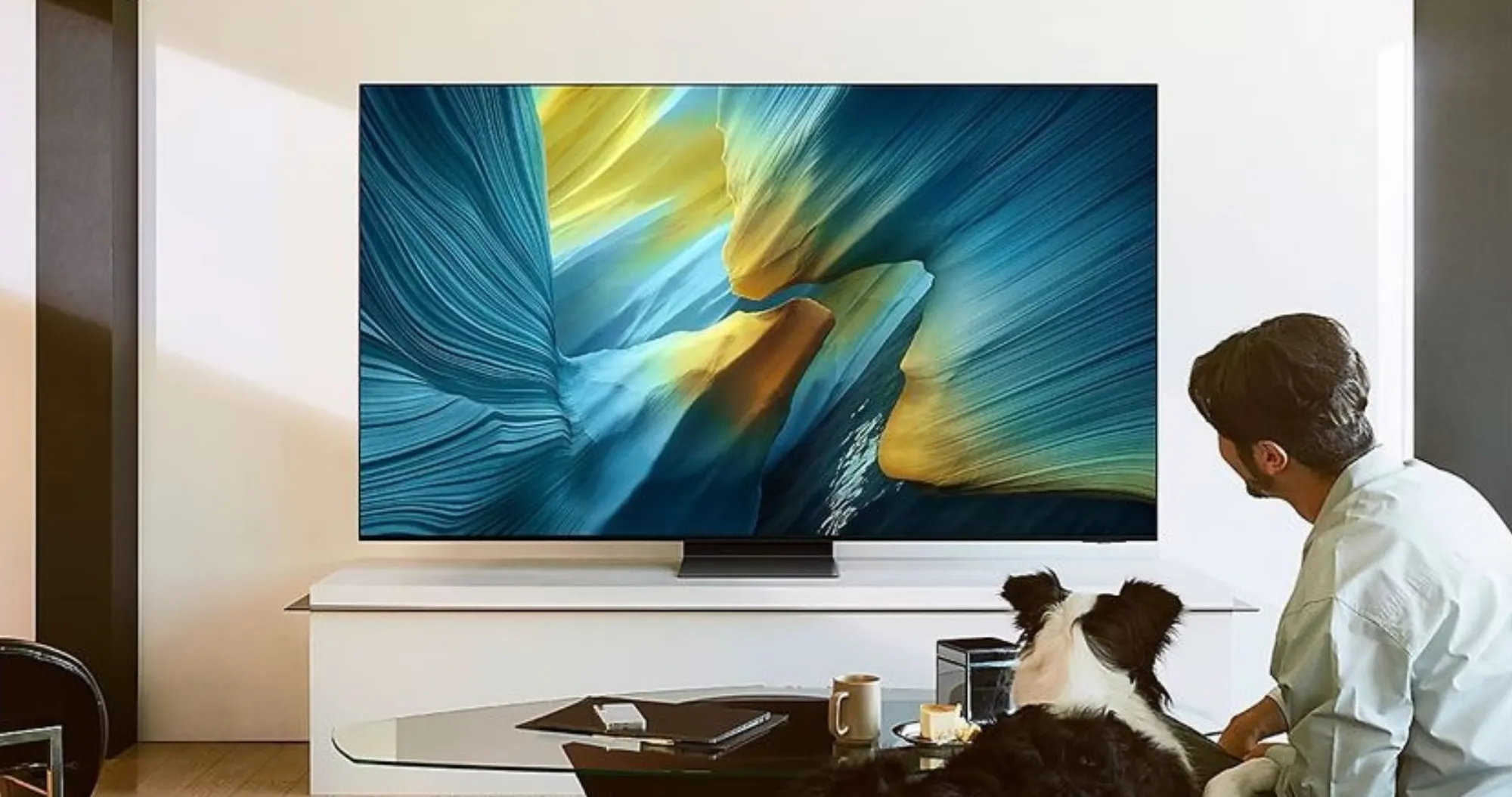 Телевізор Samsung 55 QE55S95F (Ultra)